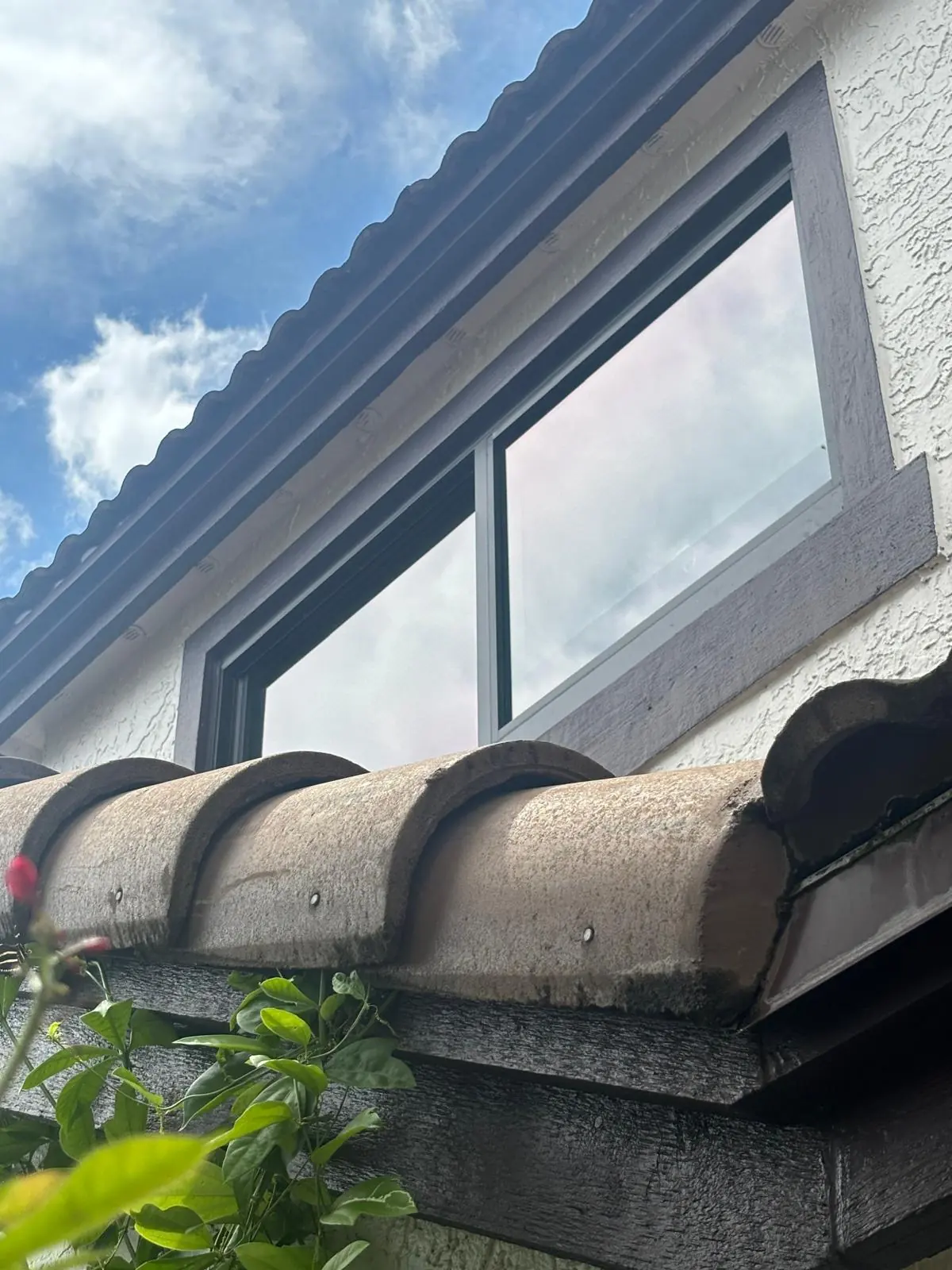 Professional window and exterior cleaning by Ledeva Home Services in Davie, FL and nearby cities