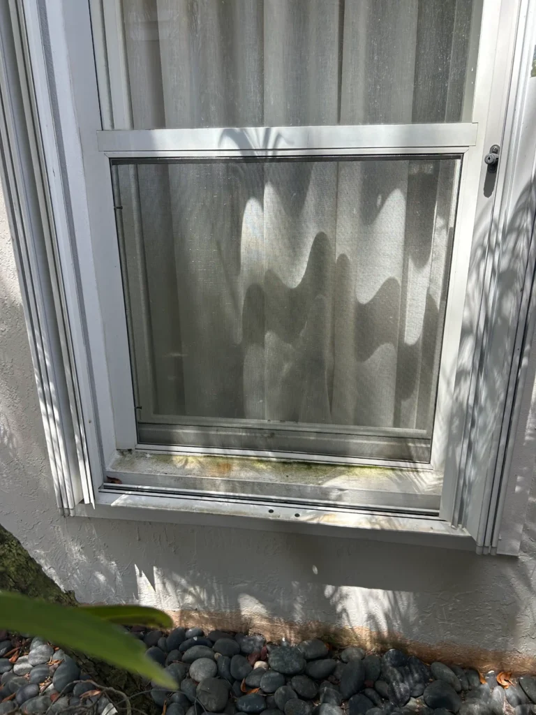 Window Washing in Lake Belvedere Estates